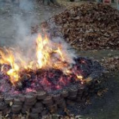 Nová obcně závazna vyhláška hl. m. Prahy omezuje od října 2023 spalování suchého rostlinného materiálu v otevřených ohništích 1